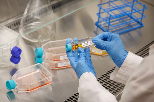 Tem y tế - ảnh 3