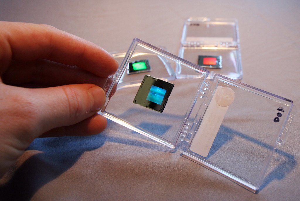 in tem chống hàng giả